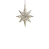 Star Champagne Glitter Ornament