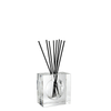 Eden 10cm (4in) H Diffuser Bottle with Reeds