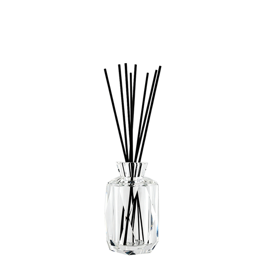 Ezra 12.4cm (5in) H Diffuser Bottle with Reeds