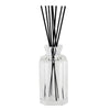 Gabriel 14cm (5.5in) Diffuser Bottle with Reeds