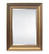 Westview 36-1/4”W x 48-1/4"H Mirror Antique Gold