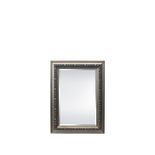 Sumner 35”W x 47”H Mirror Antique Silver