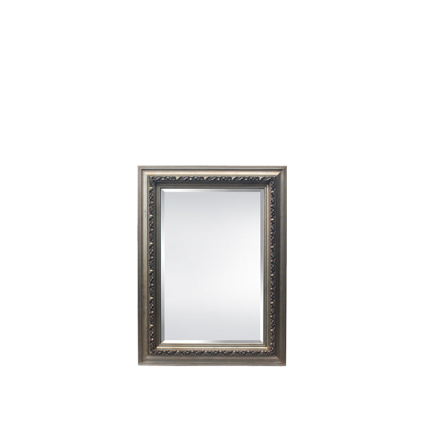 Sumner 35”W x 47”H Mirror Antique Silver