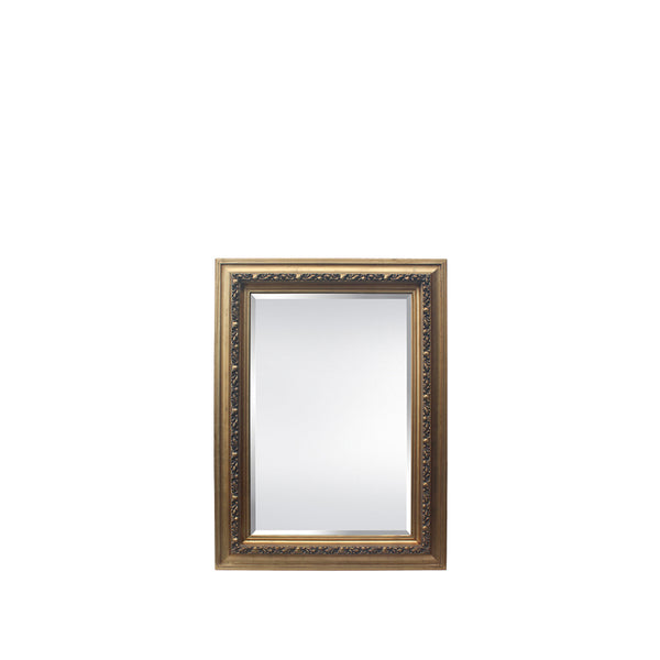 Sumner 35”W x 47”H Mirror Antique Gold