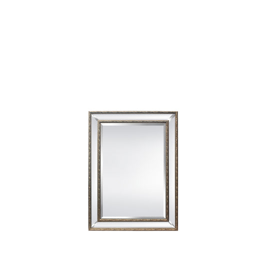 Addison 33”W x 45”H Mirror Champagne Gold