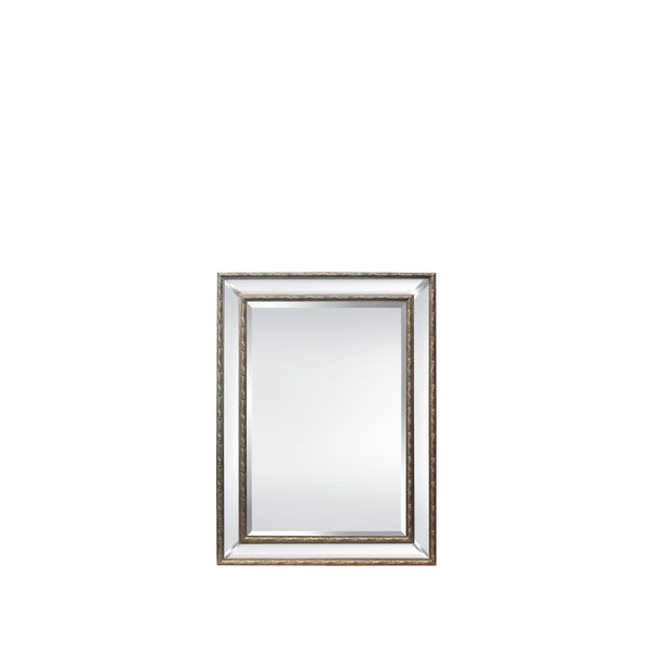 Addison 33”W x 45”H Mirror Champagne Gold