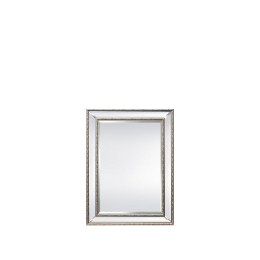 Addison 33”W x 45”H Mirror Silver