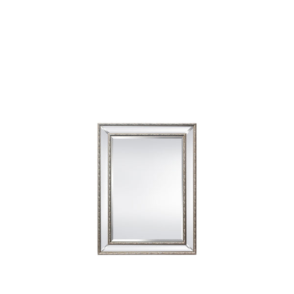 Addison 33”W x 45”H Mirror Silver