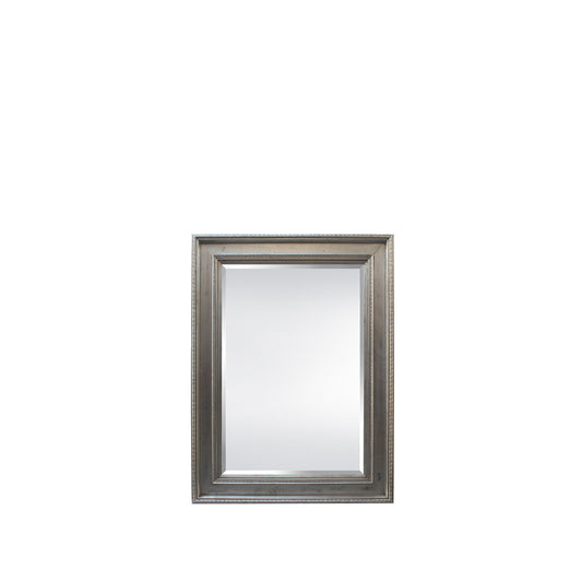Rochelle 34-1/4”W x 46-1/4”H Mirror Antique Silver