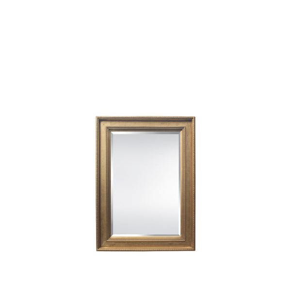 Rochelle 34-1/4”W x 46-1/4”H Mirror Antique Gold
