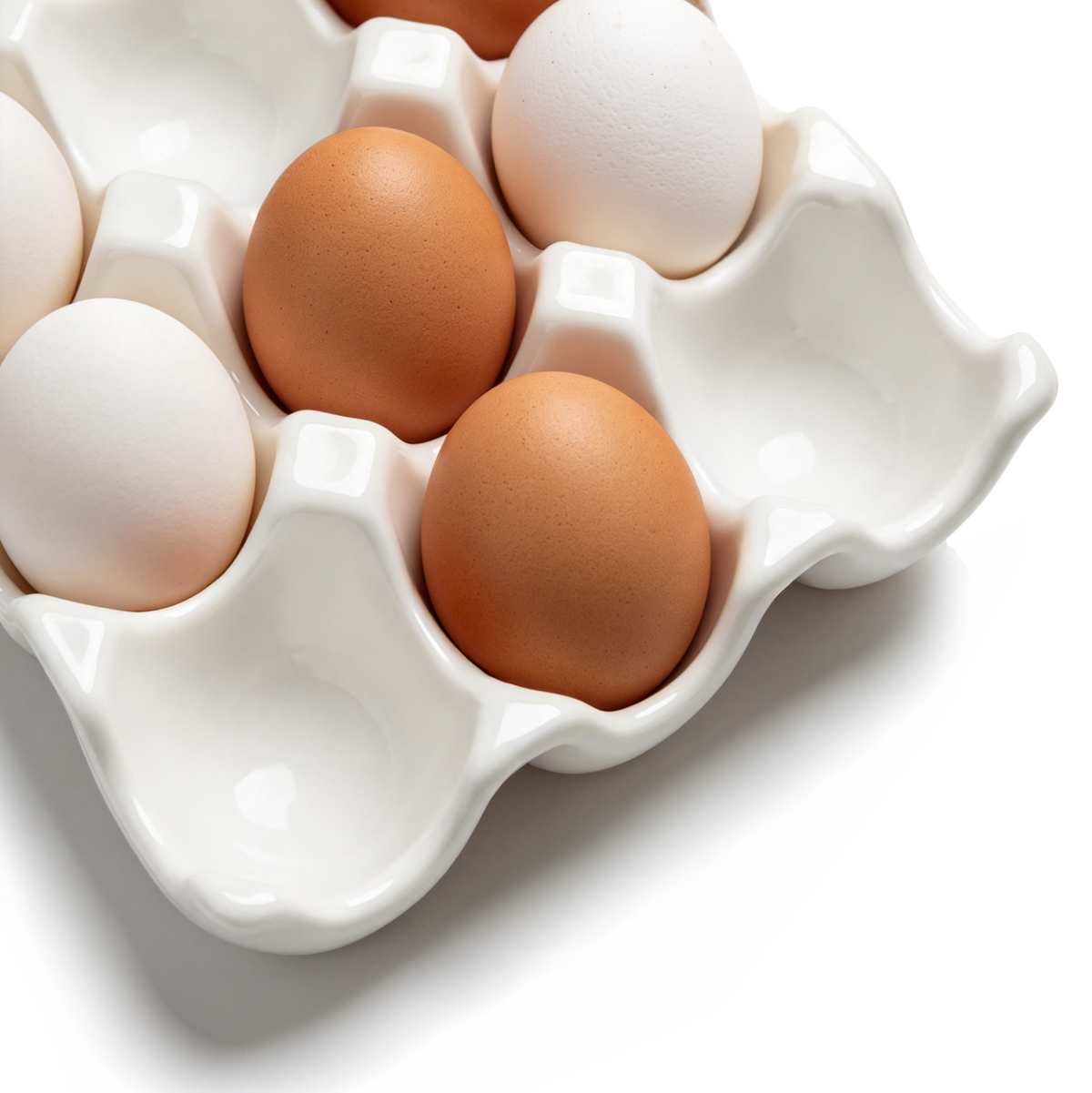 Colby 12 Egg Holder