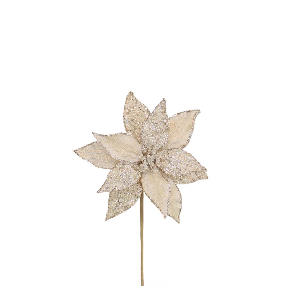 Poinsettia 28x50cm Champagne Microbeads