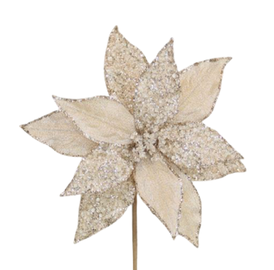 Poinsettia 28x50cm Champagne Microbeads