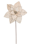 Poinsettia 31x50cm Champagne Velvet with Glitter