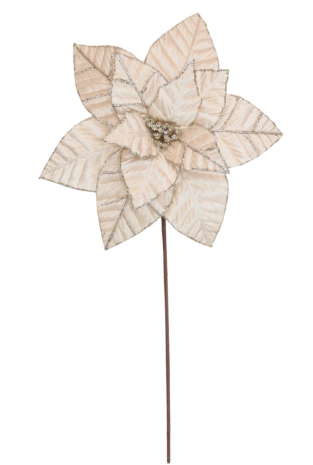 Poinsettia 31x50cm Champagne Velvet with Glitter