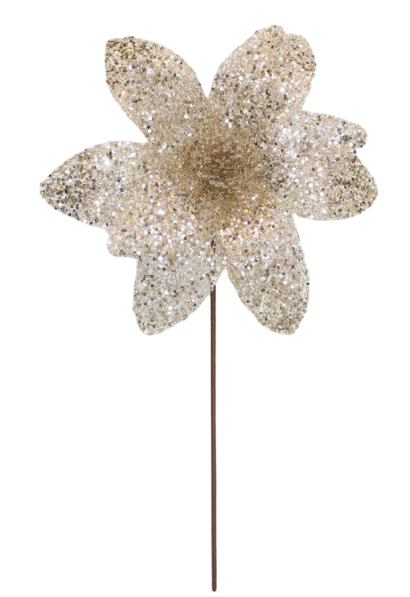 Poinsettia 31x55cm Champagne Sequins