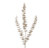 Eucalyptus 81cm Champagne Glitter Spray