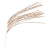 Rain 90cm Champagne Sequin Spray