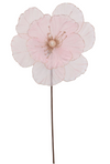 Magnolia 27x50cm Sheer Blush Stem