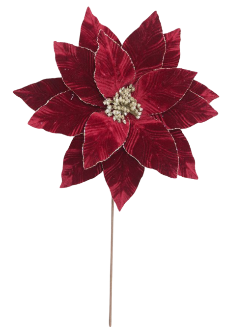 Poinsettia 35x50cm Burgundy Velvet with Glitter Edge Stem