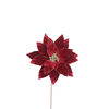 Poinsettia 35x50cm Burgundy Velvet with Glitter Edge Stem