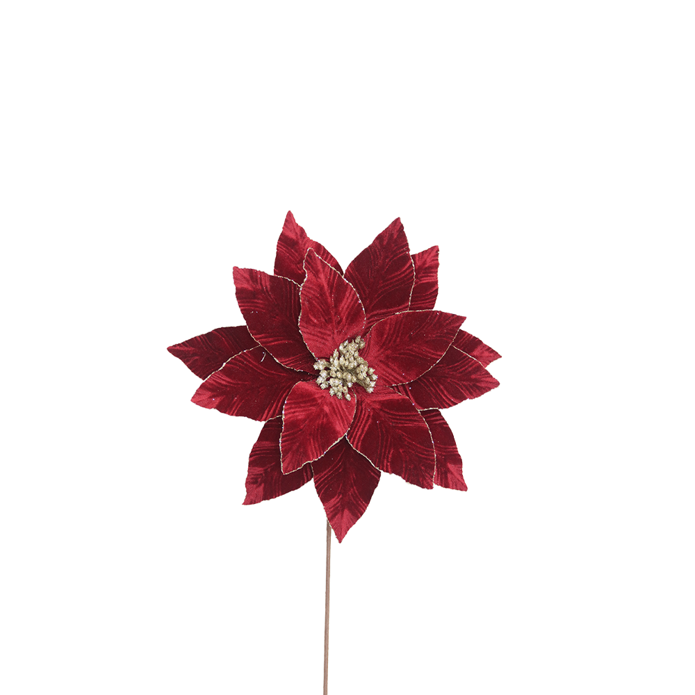 Poinsettia 35x50cm Burgundy Velvet with Glitter Edge Stem