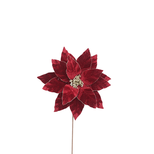 Poinsettia 35x50cm Burgundy Velvet with Glitter Edge Stem