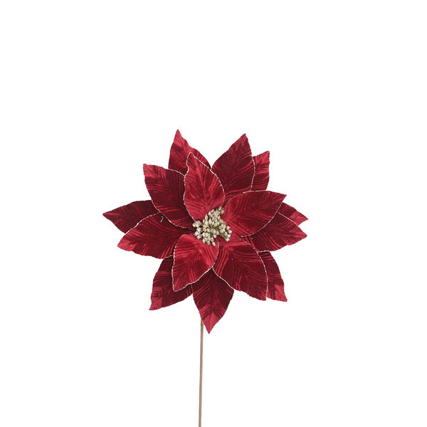 Poinsettia 35x50cm Burgundy Velvet with Glitter Edge Stem