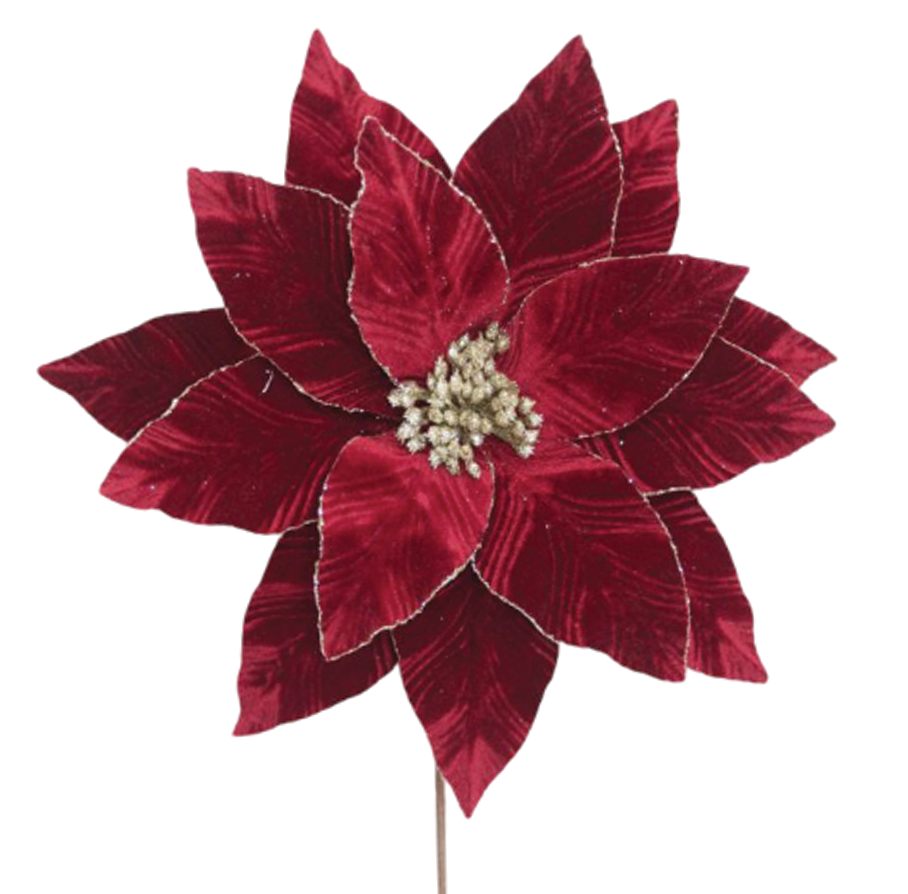 Poinsettia 35x50cm Burgundy Velvet with Glitter Edge Stem