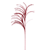 Grass 89cm Burgundy Spray