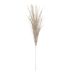 Grass 85cm Beaded Champagne Spray