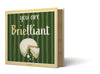 Book Series-Brielliant Cheese Set of 4