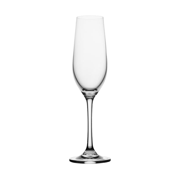 Riva Champagne Flute 235ml (7.9oz) Set of 4