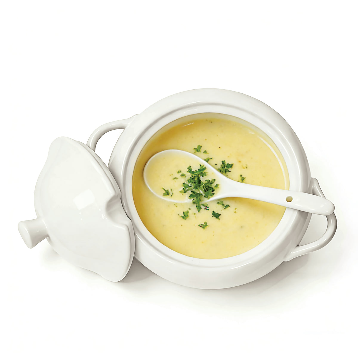 Greyson 3L (3qt)Soup Tureen with Ladle